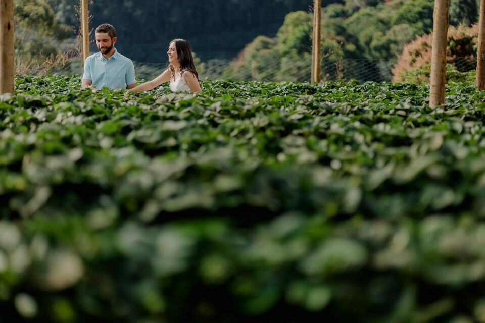 Fotografia de Pré Casamento, Isabela e Rodrigo, Rio Claro, Iúna - Espírito Santo